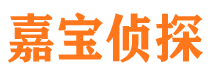 屏南市调查公司